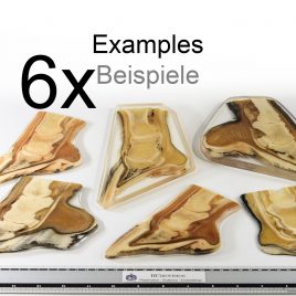 6 hoof plastinates bundle offer