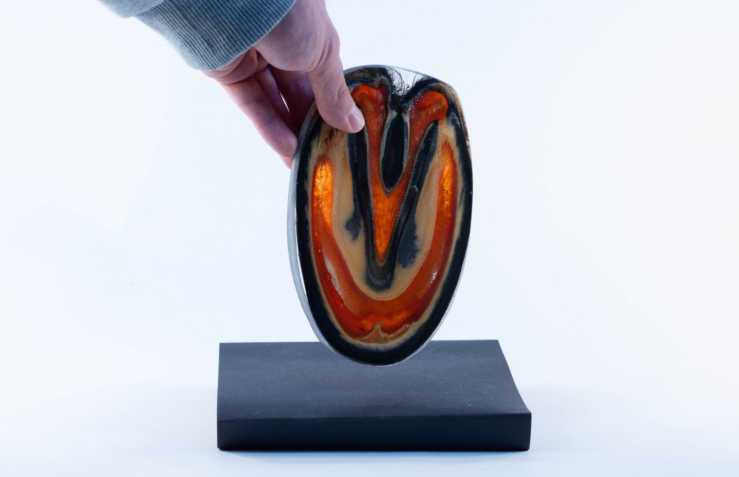 Horse hoof sheet plastination Plastination Anatomy Embedding