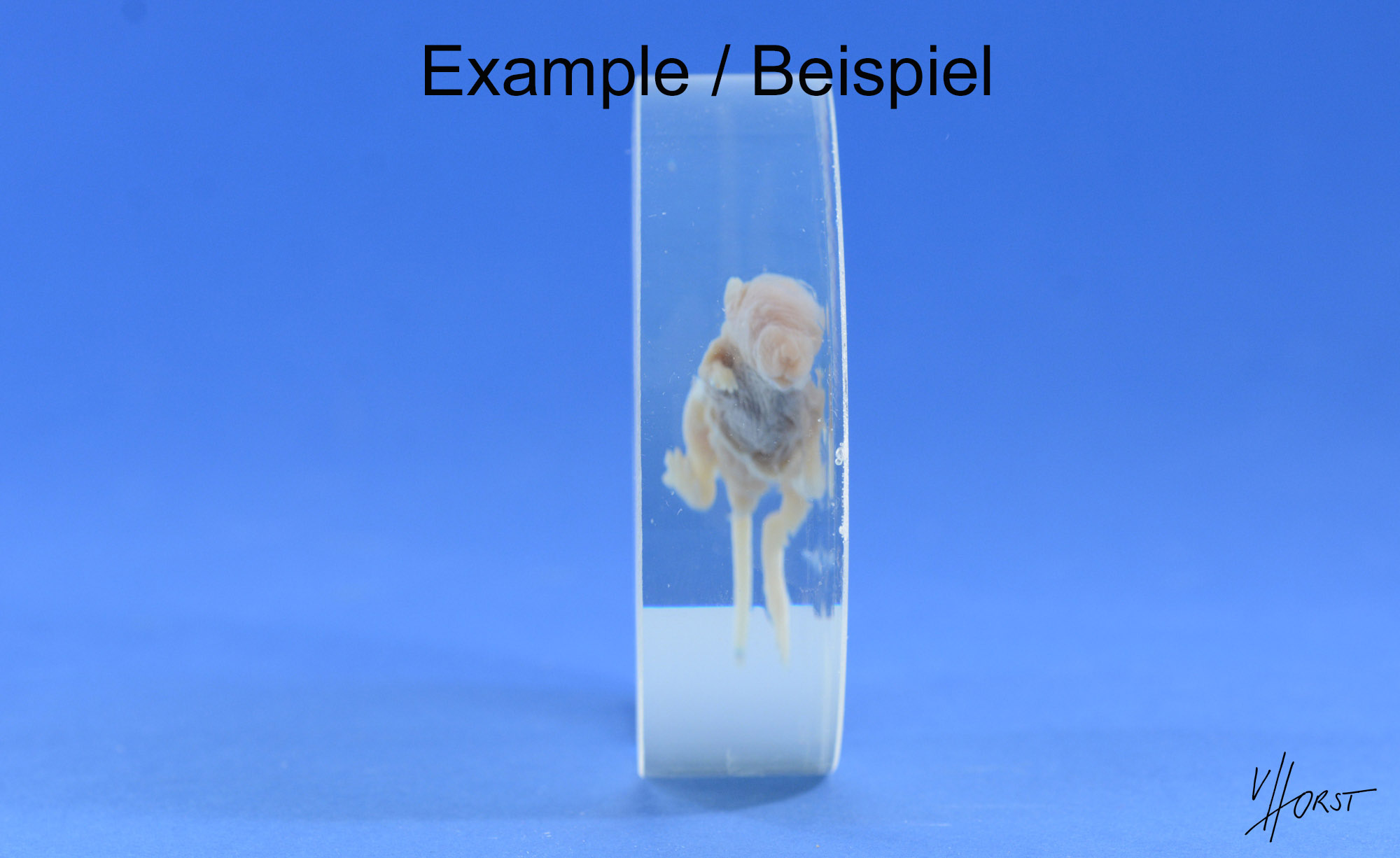 751-578 (4 von 2) Kopie