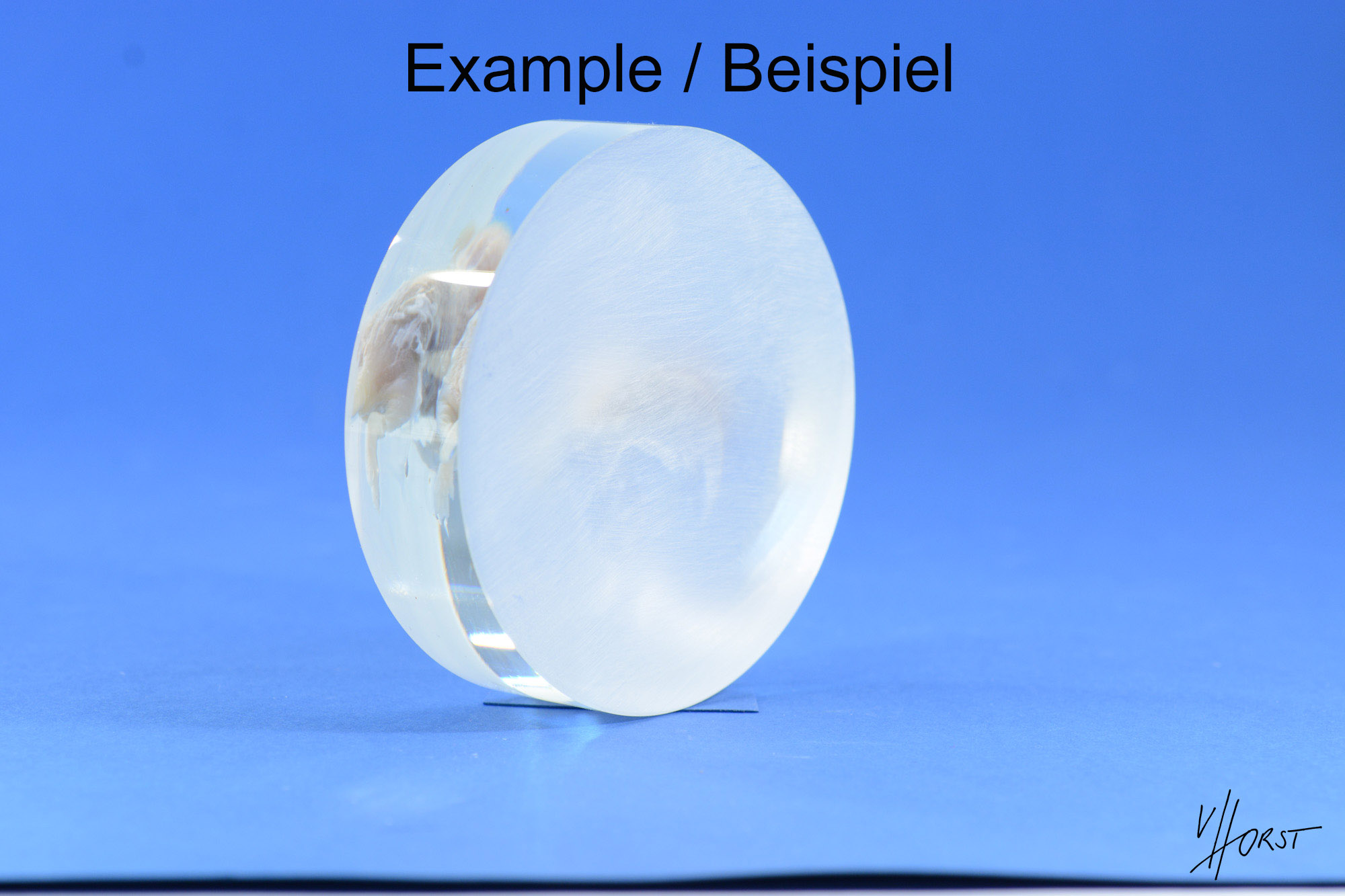 751-578 (7 von 5) Kopie