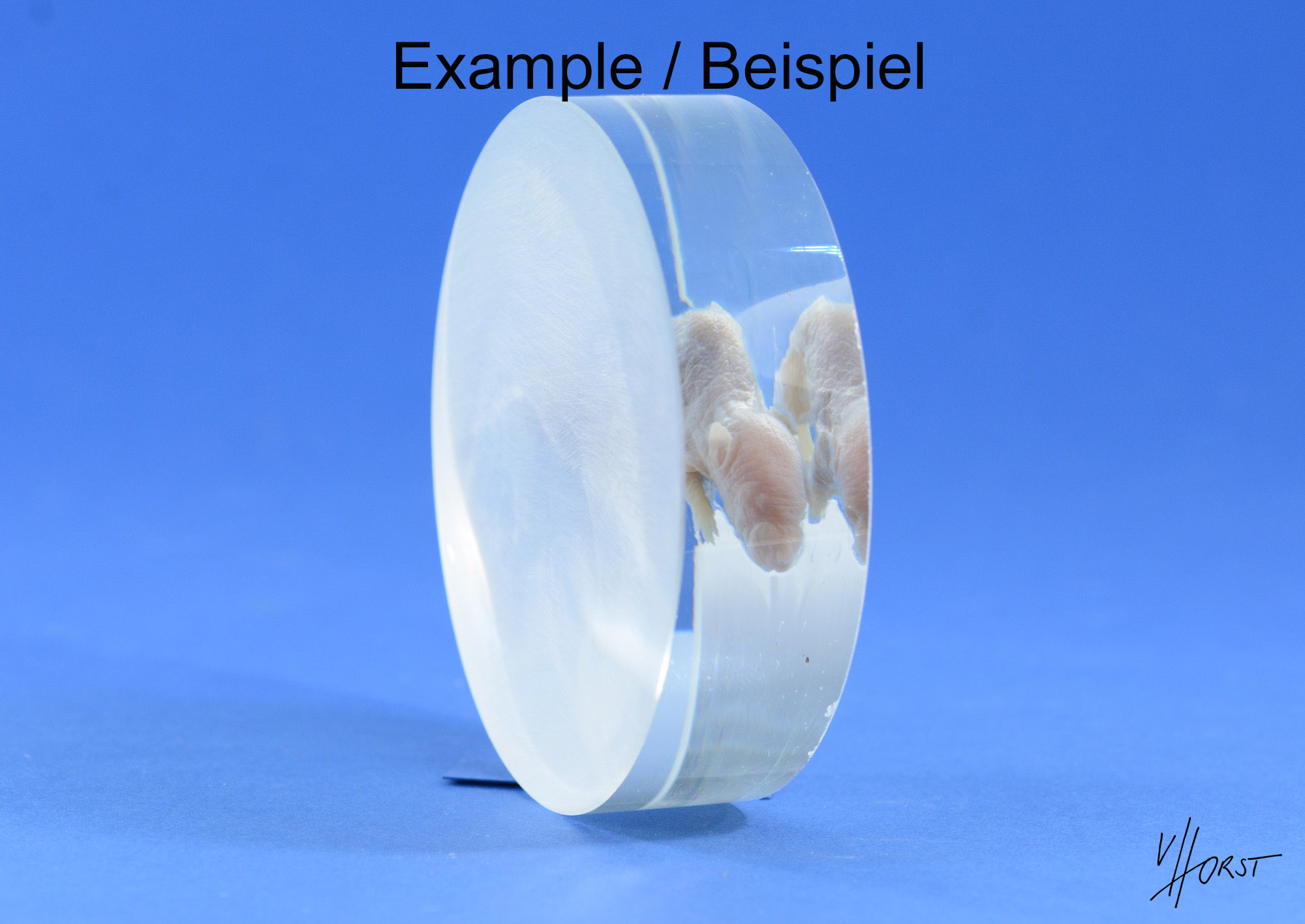 751-578 (8 von 5) Kopie