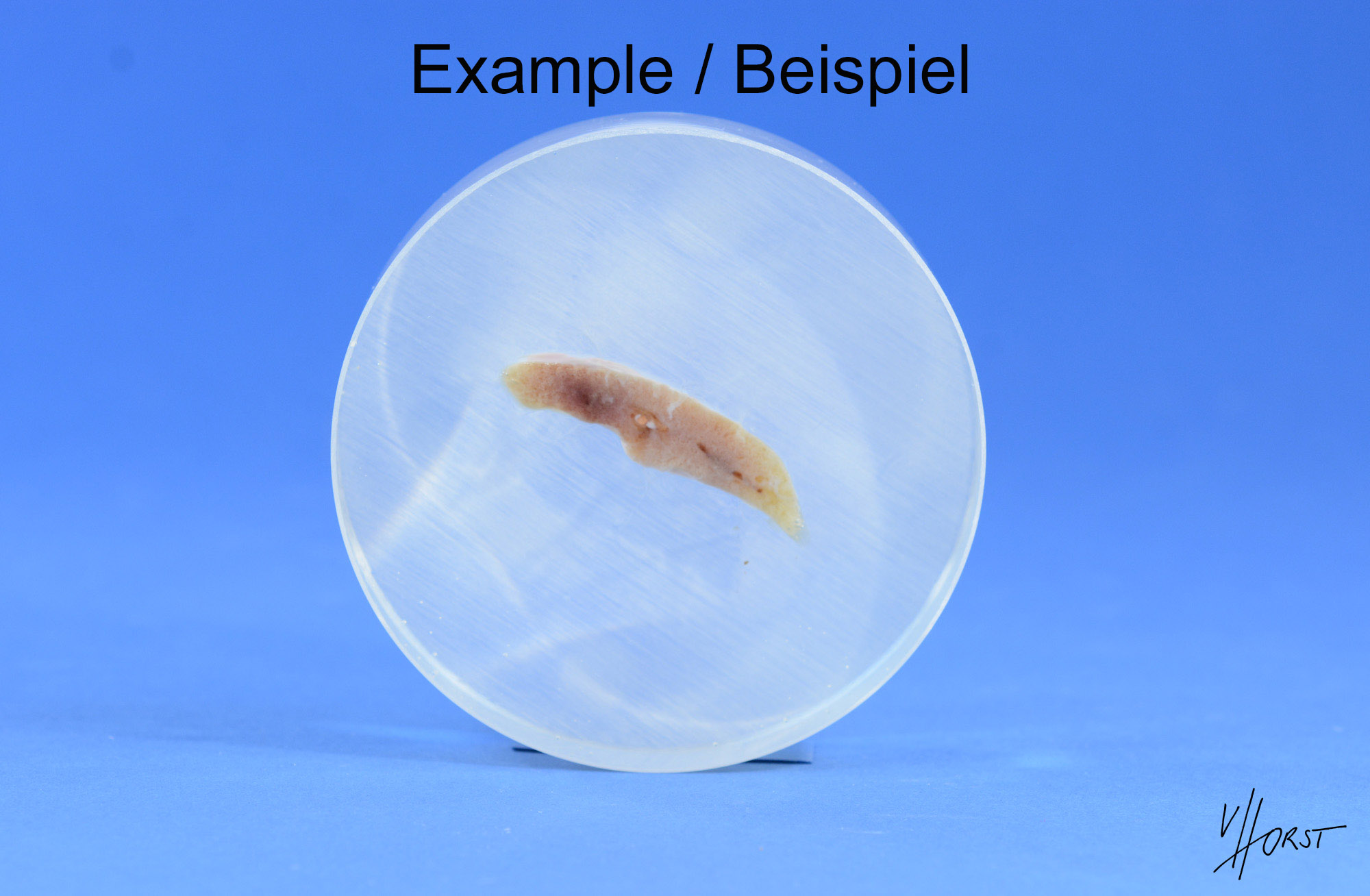 751-579 (4 von 2) Kopie