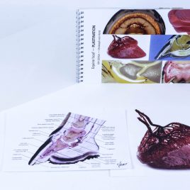 Basic hoof booklet bundle