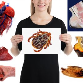 8 Fotodrucke und Bilddateien – Paket