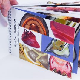 Equine hoof anatomy booklet (NEW!)