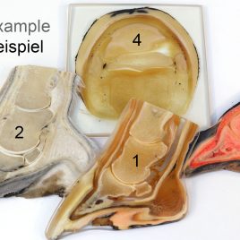 Paket Hufplastinate – Variationen