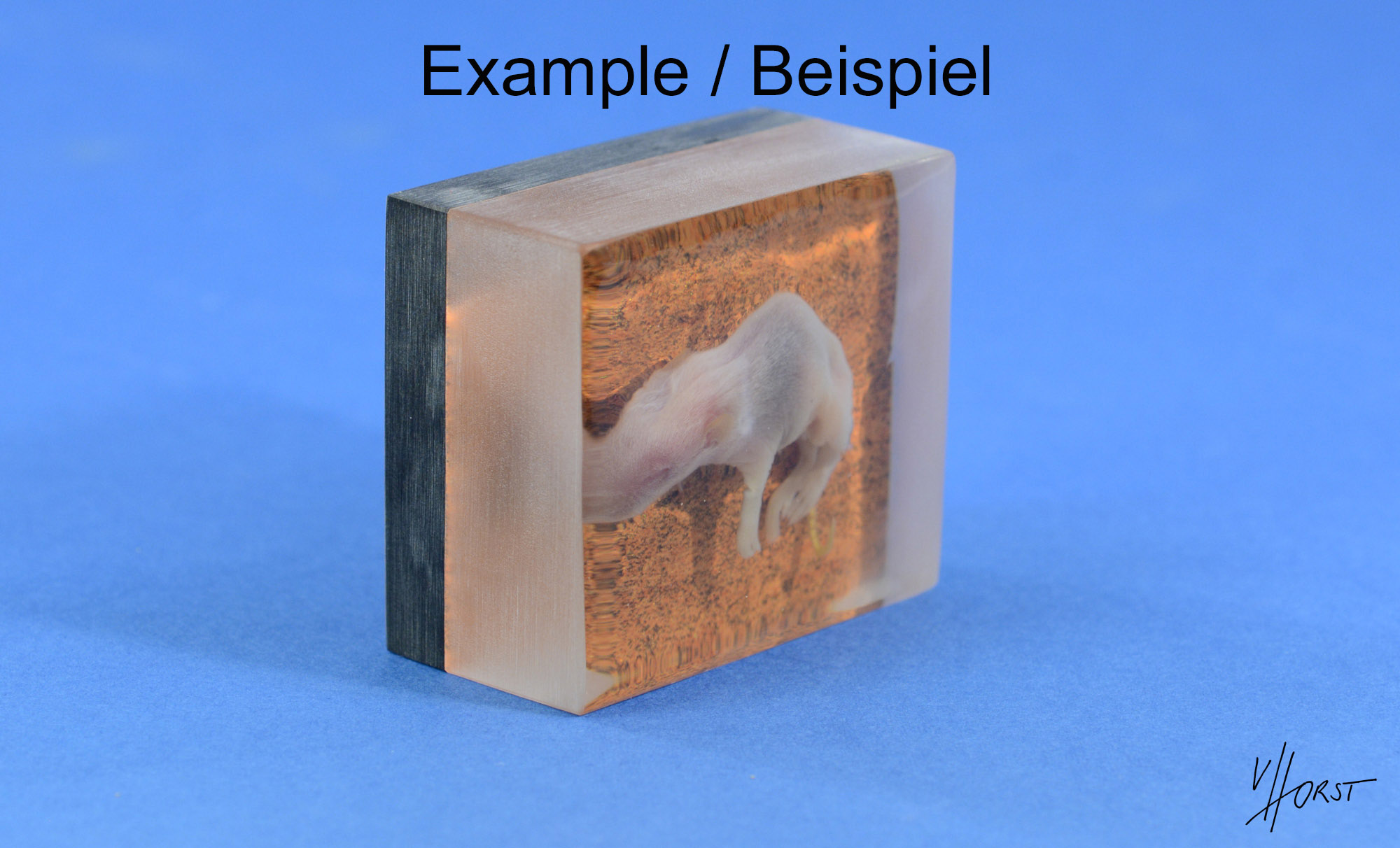 Maus_Beispiel 1