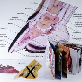 Horse hoof package (German)