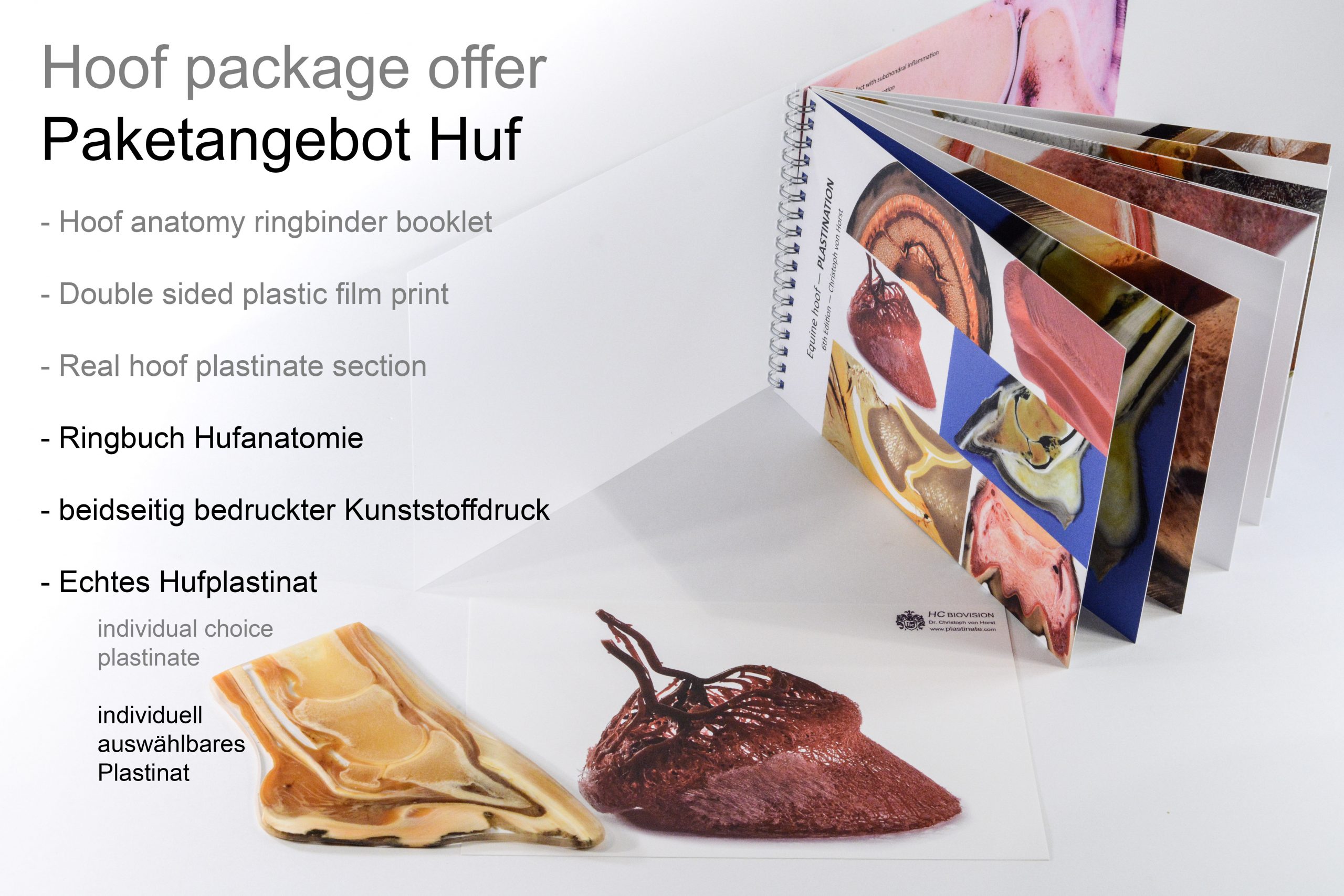 Hoof_anatomy bundle_DE_EN Hoof anatomy chart specimen booklet bundle