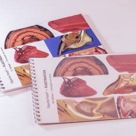 2 x Ringbuch Pferdehuf DE/EN im Testpaket