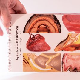 Hoof booklet 5th edition (used)