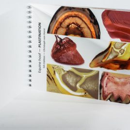Equine hoof plastination image booklet