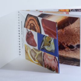 Equine hoof anatomy booklet